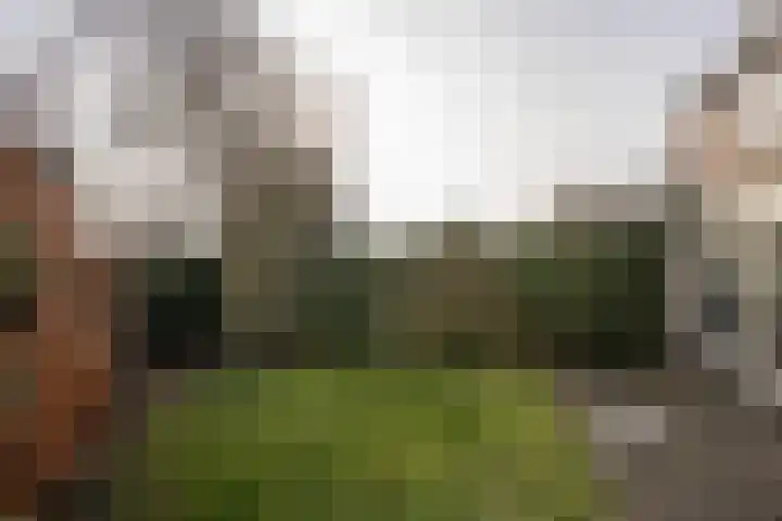 Strijbosstraat 36 De Koog thumbnail 59