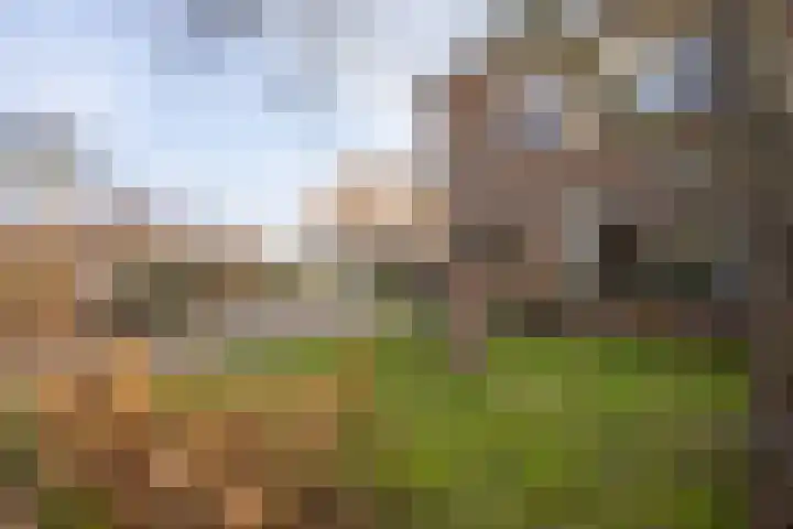 Strijbosstraat 36 De Koog thumbnail 63