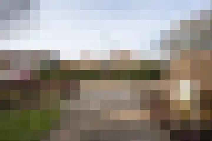 Strijbosstraat 36 De Koog thumbnail 65