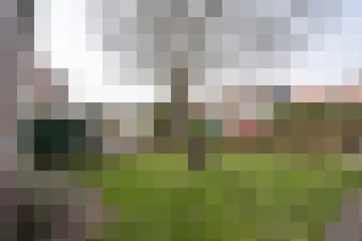 Strijbosstraat 36 De Koog thumbnail 66