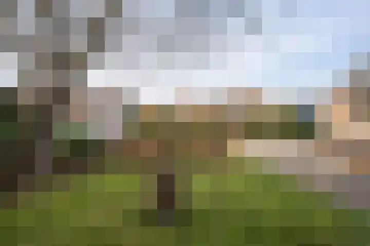 Strijbosstraat 36 De Koog thumbnail 67