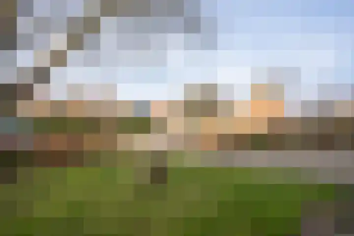 Strijbosstraat 36 De Koog thumbnail 68