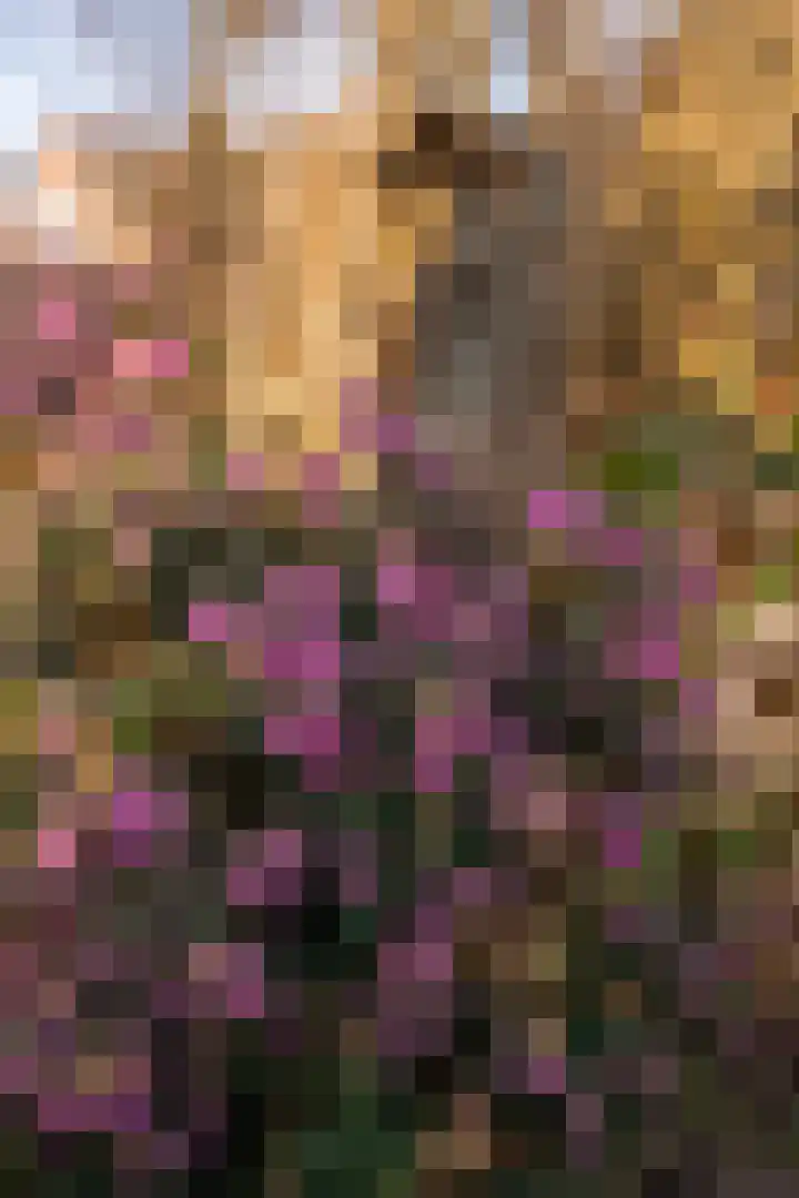 Strijbosstraat 36 De Koog thumbnail 69