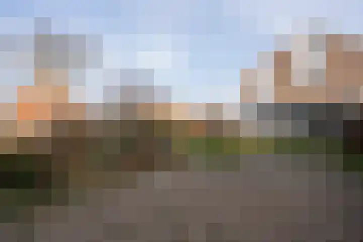 Strijbosstraat 36 De Koog thumbnail 70