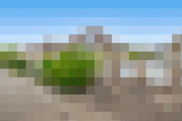 Strijdakker 9 Nuenen thumbnail 10