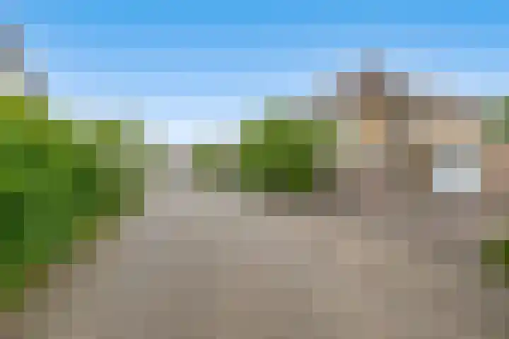 Strijdakker 9 Nuenen thumbnail 11
