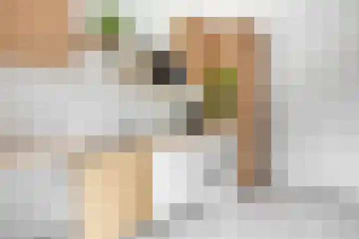 Strijdakker 9 Nuenen thumbnail 32