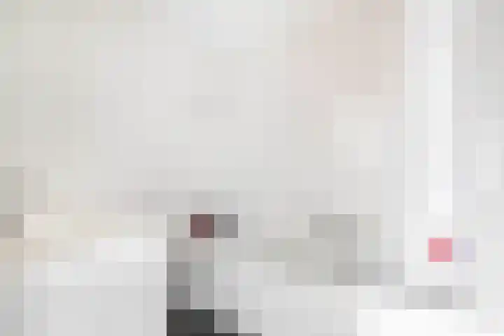 Strijdakker 9 Nuenen thumbnail 42