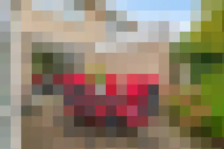 Strijdakker 9 Nuenen thumbnail 53