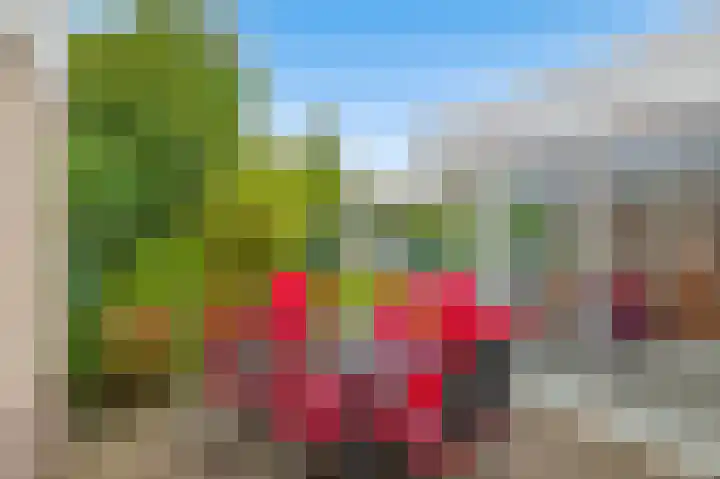 Strijdakker 9 Nuenen thumbnail 54