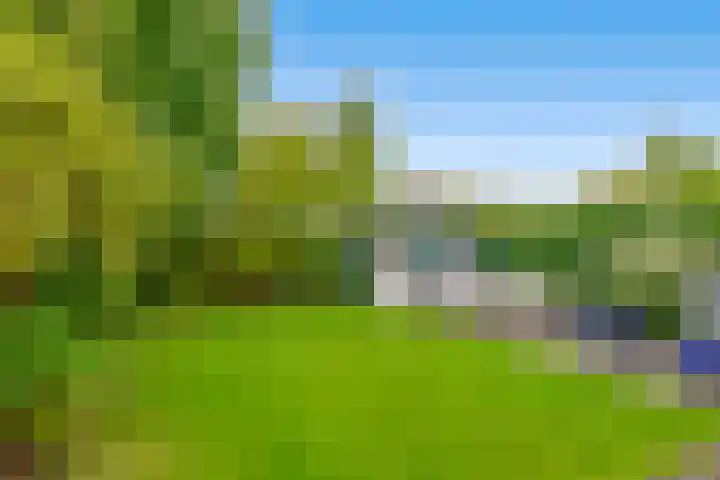 Strijdakker 9 Nuenen thumbnail 55