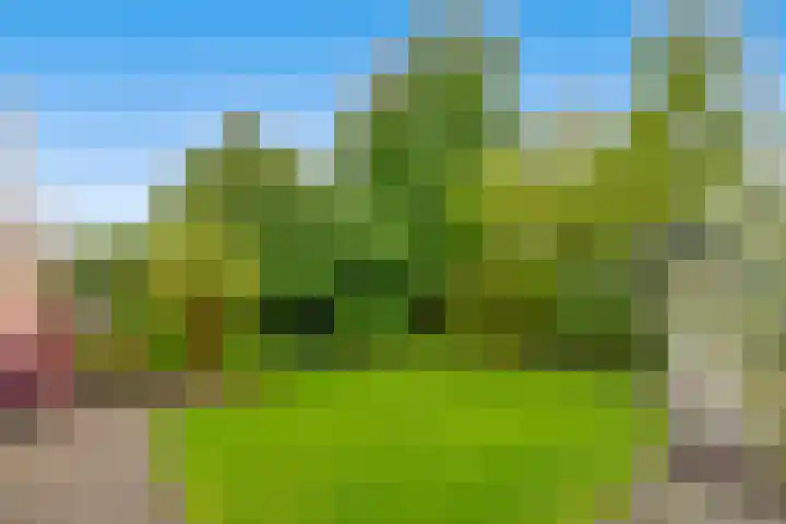 Strijdakker 9 Nuenen thumbnail 56