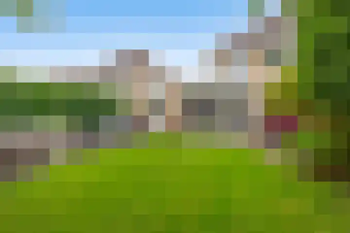 Strijdakker 9 Nuenen thumbnail 59