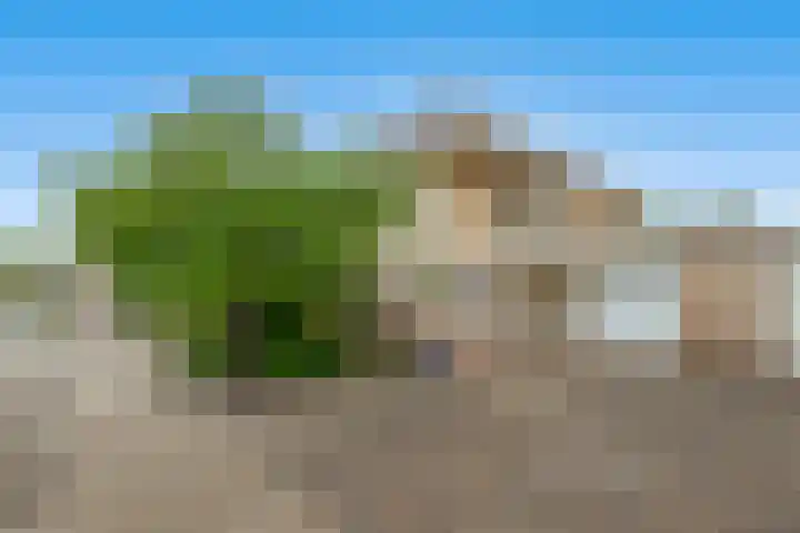 Strijdakker 9 Nuenen thumbnail 6