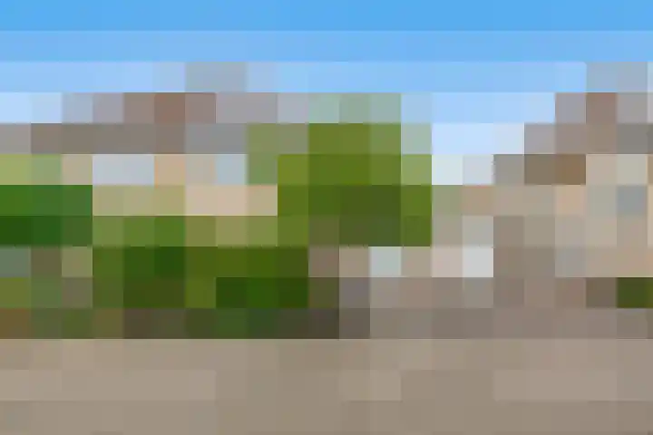 Strijdakker 9 Nuenen thumbnail 7