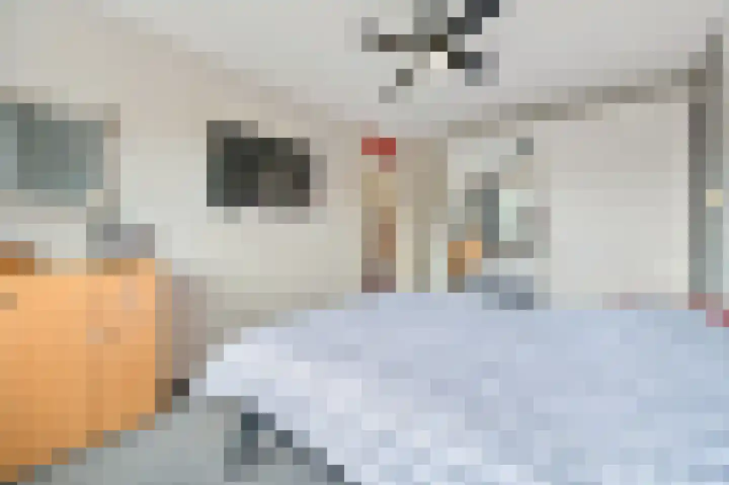 Strijdhoefdam 2 Rotterdam thumbnail 18