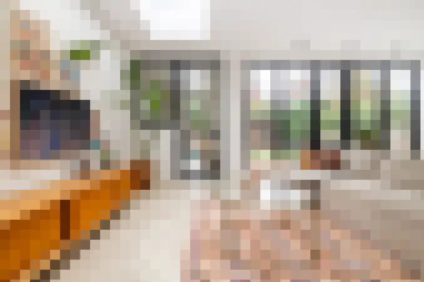 Strijenlaan 39 Breda thumbnail 20