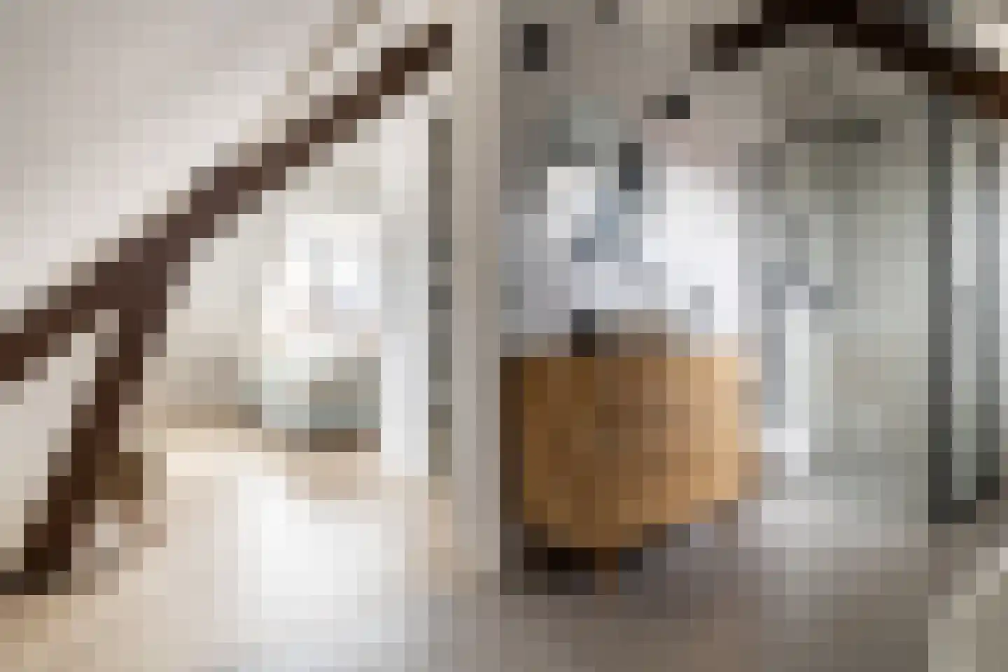 Strijenlaan 39 Breda thumbnail 33