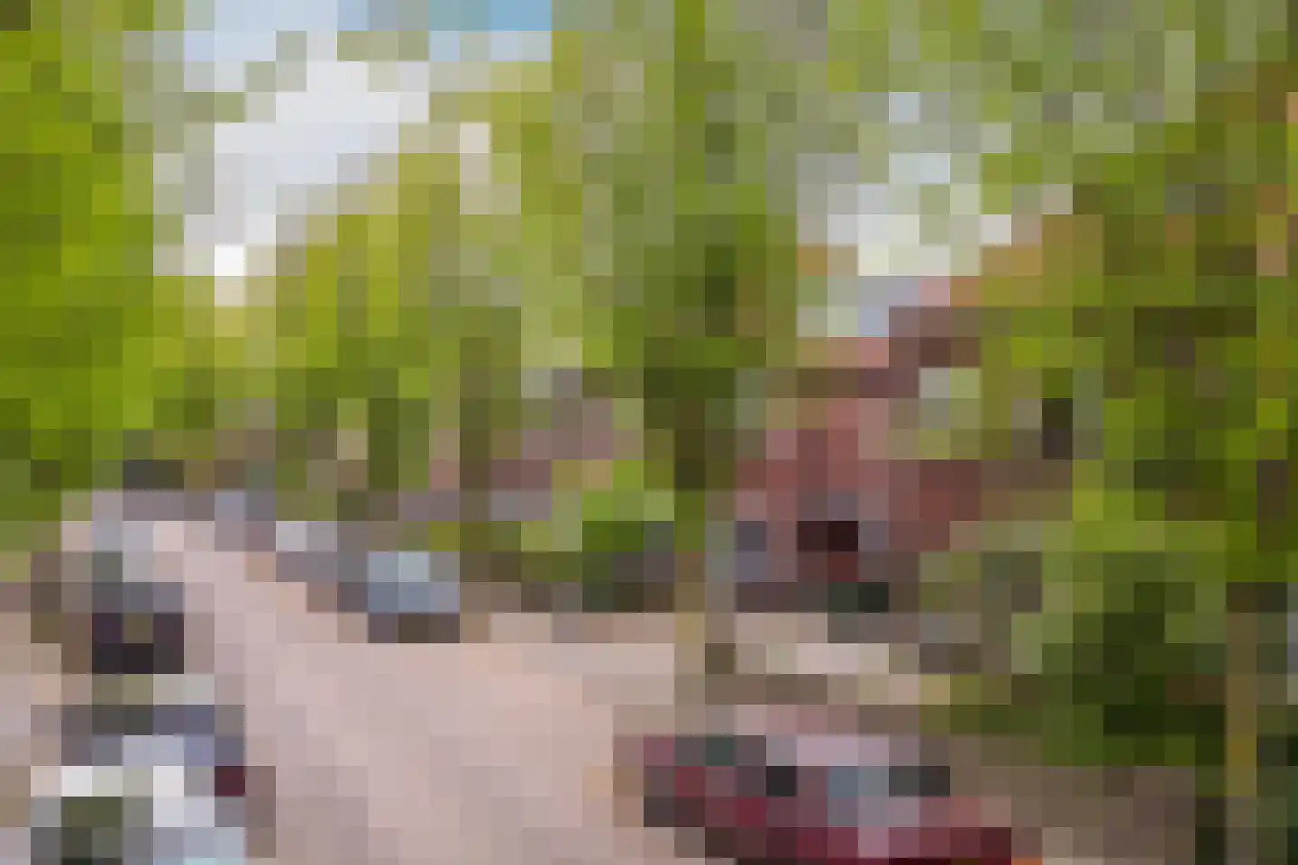 Strijenlaan 39 Breda thumbnail 41
