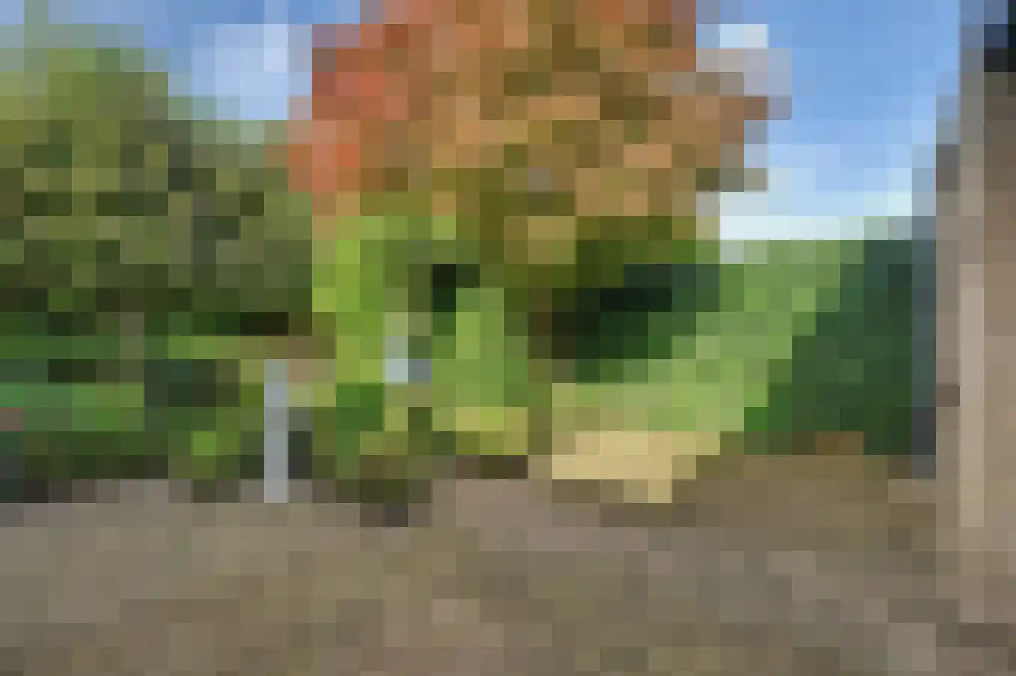 Strijenlaan 43 Geertruidenberg thumbnail 36