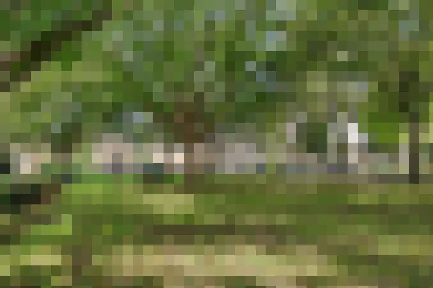 Strijenlaan 43 Geertruidenberg thumbnail 37