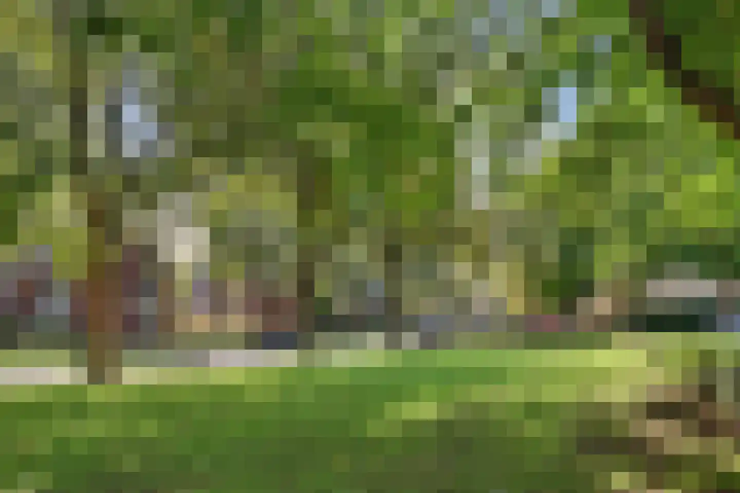 Strijenlaan 43 Geertruidenberg thumbnail 38