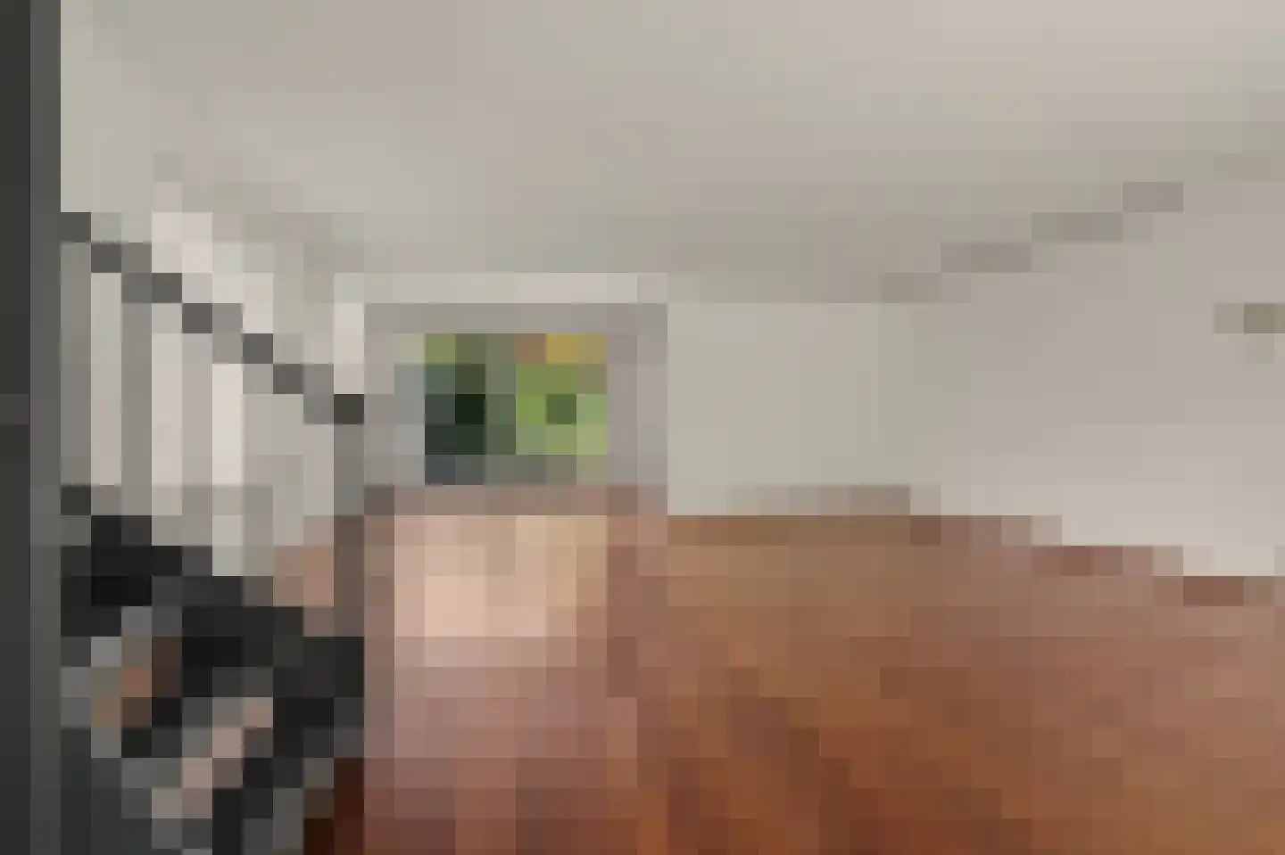 Strijenlaan 43 Geertruidenberg thumbnail 4