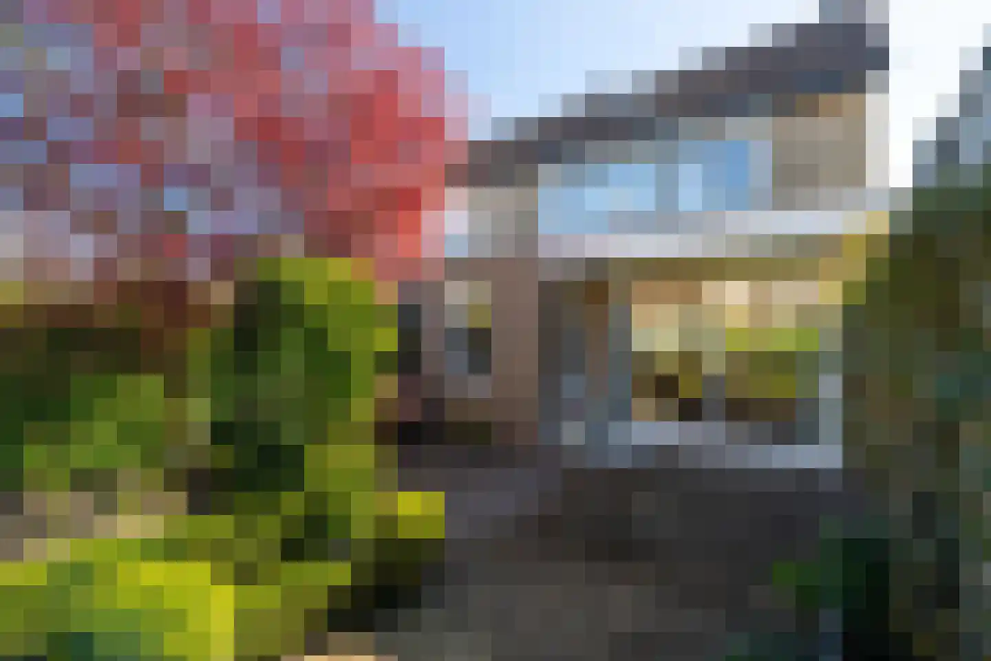 Strijenlaan 43 Geertruidenberg thumbnail 4
