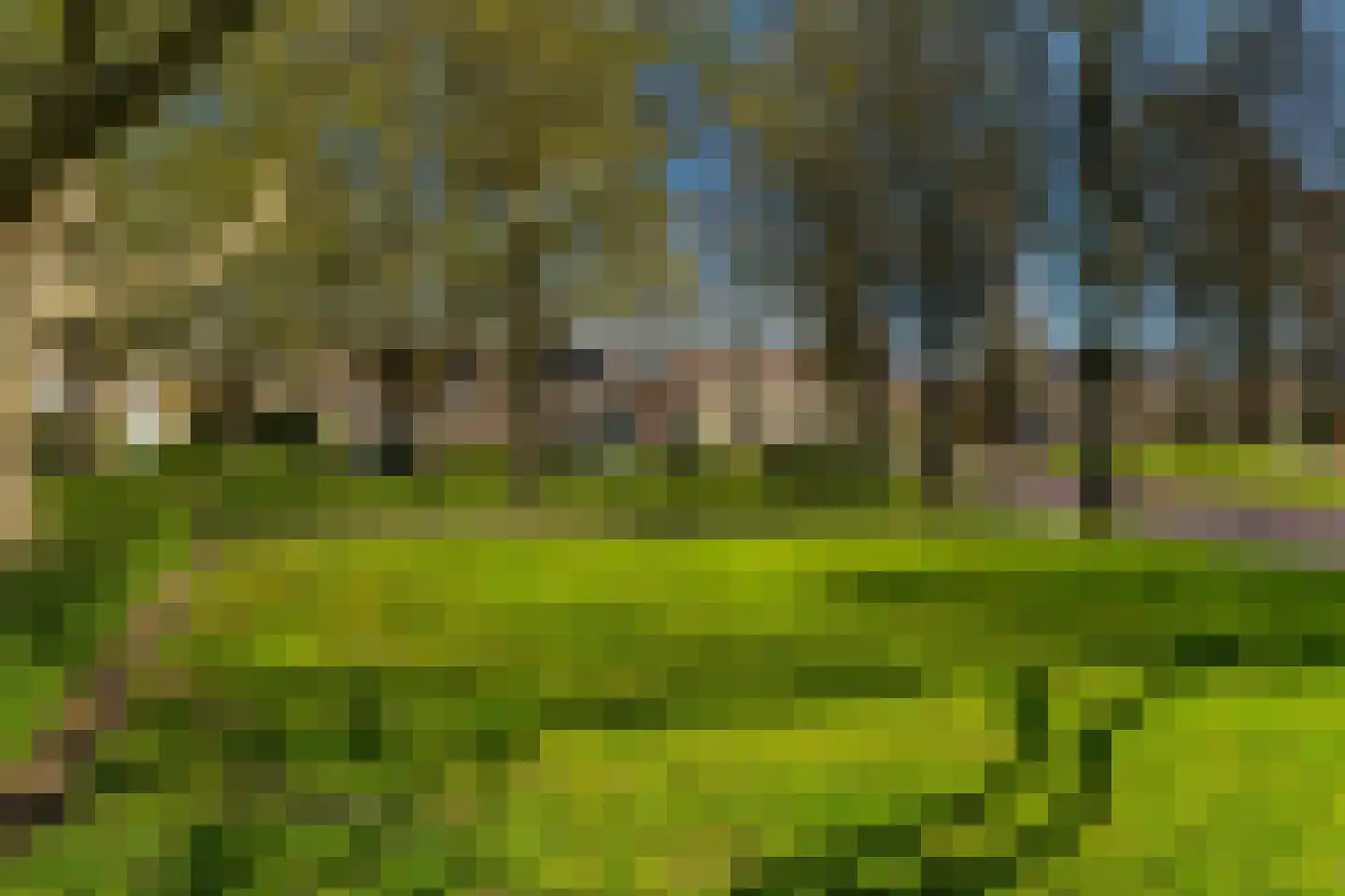 Strijenlaan 43 Geertruidenberg thumbnail 5