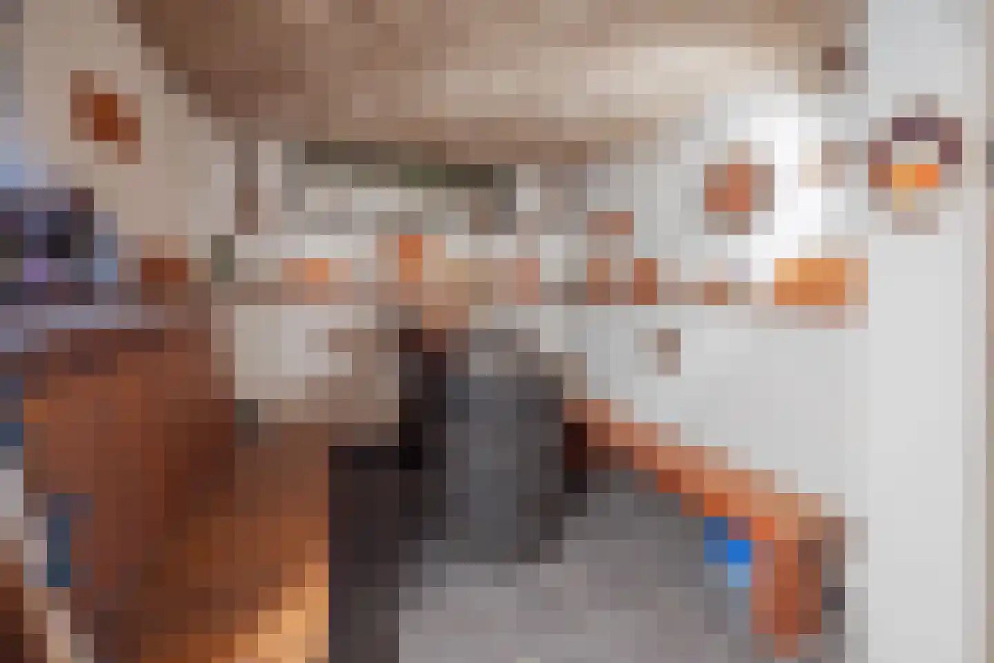 Strijenlaan 45 Geertruidenberg thumbnail 38