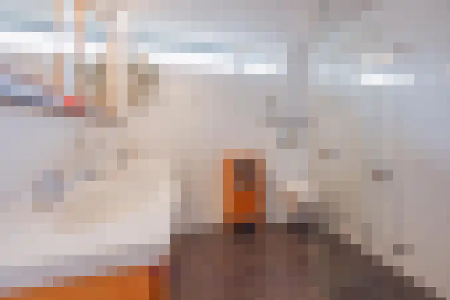 Strijenlaan 45 Geertruidenberg thumbnail 4