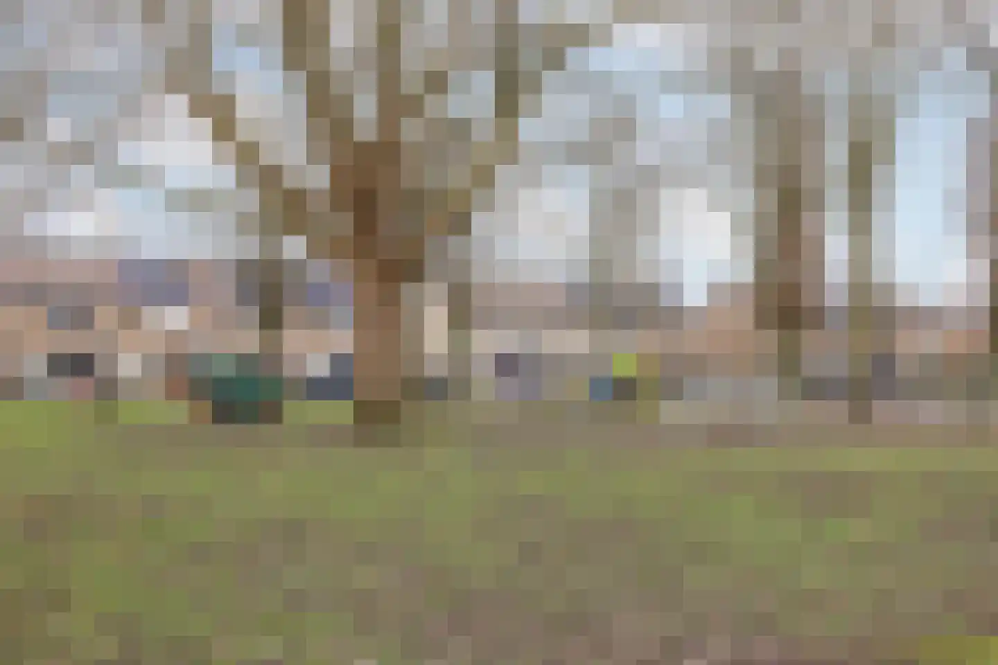 Strijenlaan 45 Geertruidenberg thumbnail 8