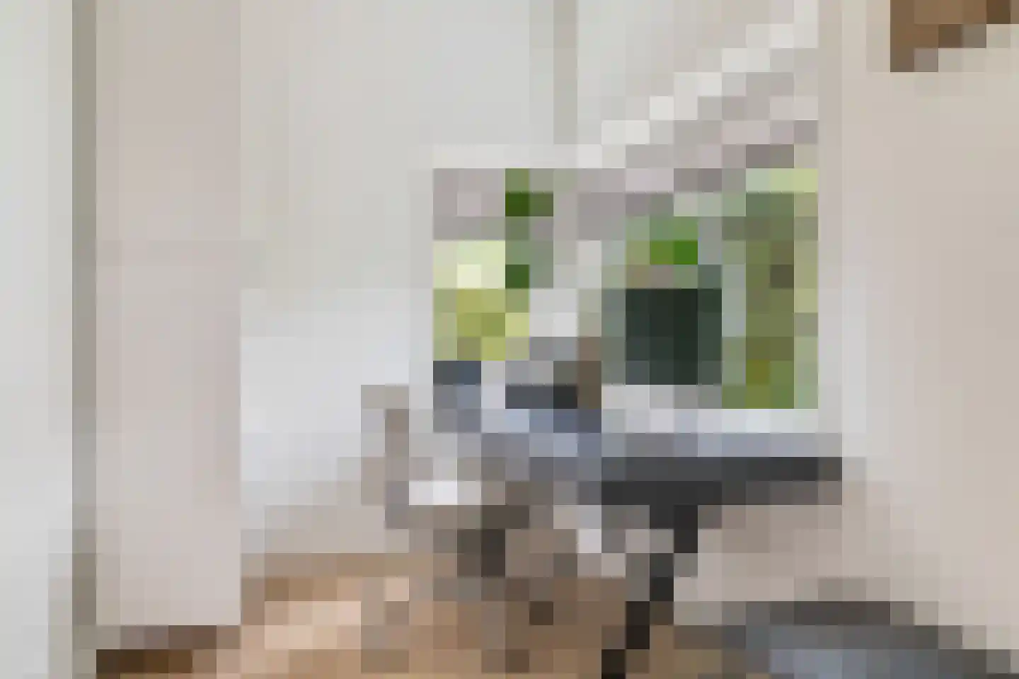 Strijenlaan 64 Breda thumbnail 12