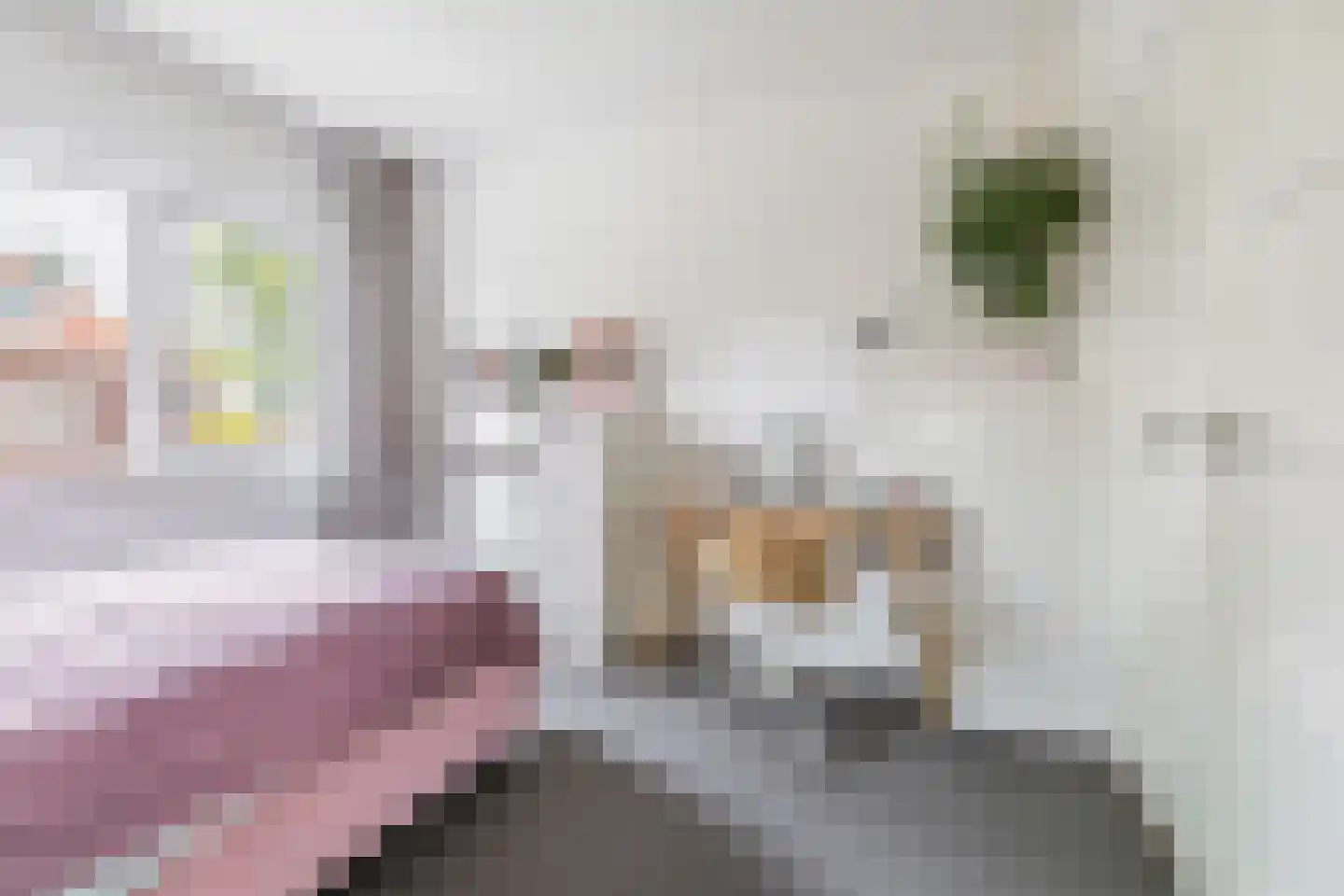Strijenlaan 64 Breda thumbnail 29