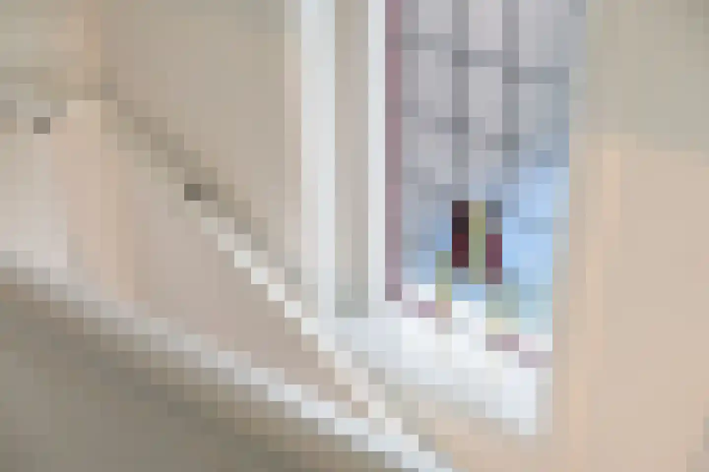 Strijenlaan 64 Breda thumbnail 36
