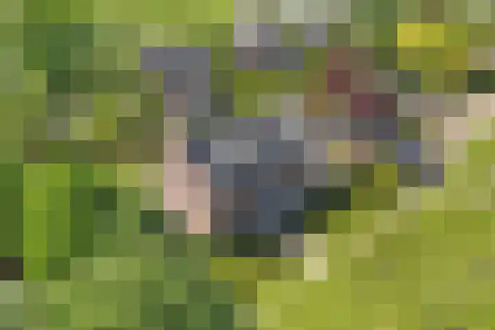 Strijenpad 3 Geertruidenberg