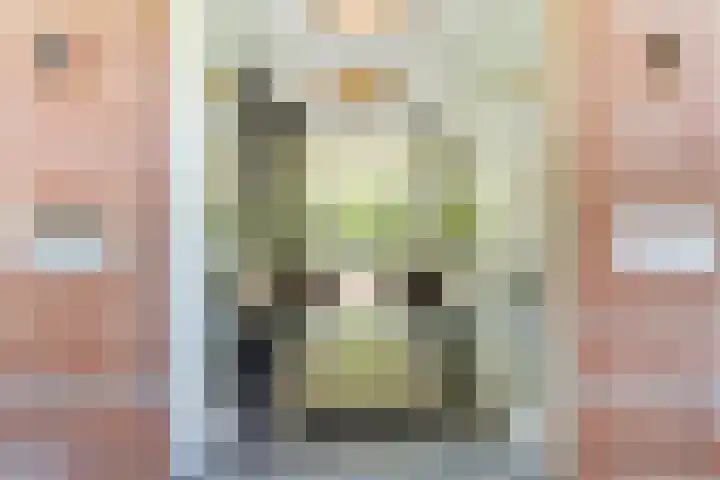 Strijenpad 3 Geertruidenberg thumbnail 11