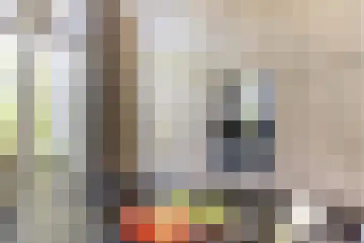 Strijenpad 3 Geertruidenberg thumbnail 13