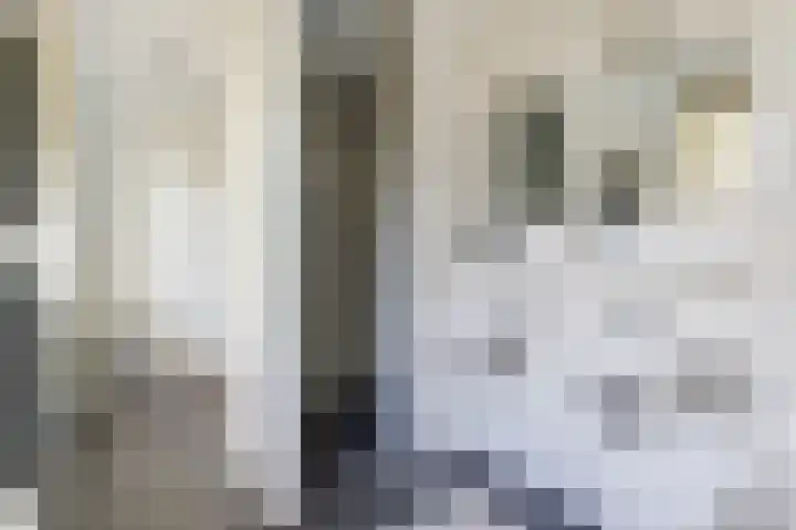 Strijenpad 3 Geertruidenberg thumbnail 34