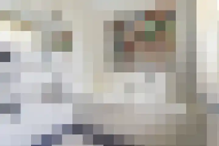 Strijenpad 3 Geertruidenberg thumbnail 35