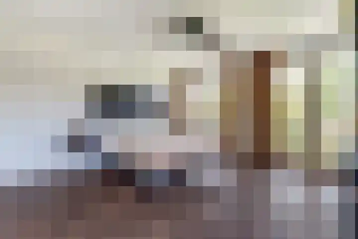Strijenpad 3 Geertruidenberg thumbnail 40