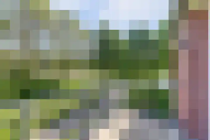 Strijenpad 3 Geertruidenberg thumbnail 45