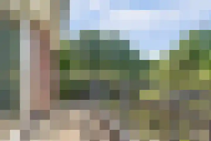 Strijenpad 3 Geertruidenberg thumbnail 46
