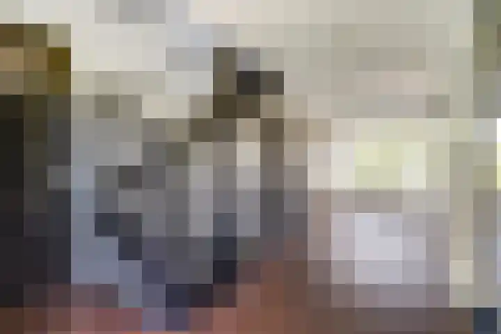 Strijenpad 3 Geertruidenberg thumbnail 47