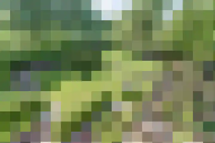 Strijenpad 3 Geertruidenberg thumbnail 59