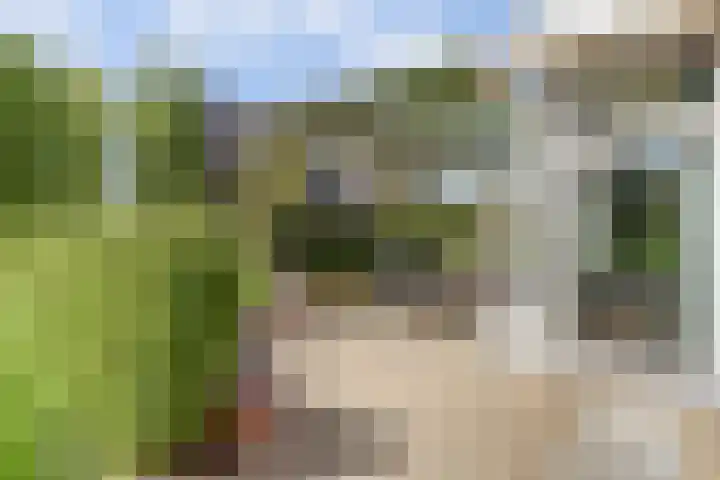 Strijenpad 3 Geertruidenberg thumbnail 60