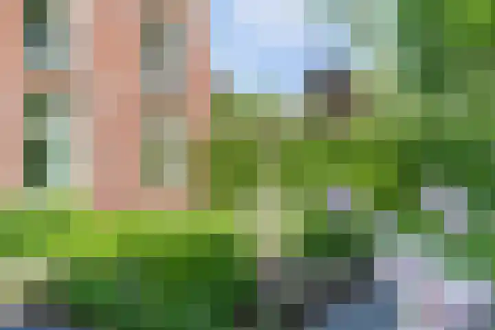 Strijenpad 3 Geertruidenberg thumbnail 62