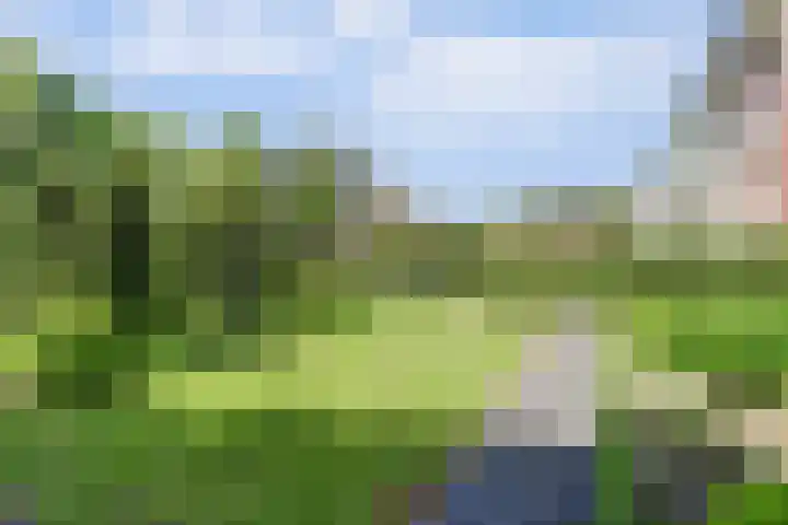 Strijenpad 3 Geertruidenberg thumbnail 63