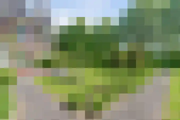 Strijenpad 3 Geertruidenberg thumbnail 64