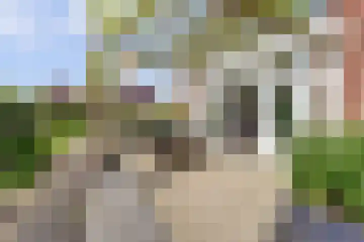 Strijenpad 3 Geertruidenberg thumbnail 65